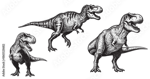 Tyrannosaurus rex antique engraving artwork with dramatic vintage details