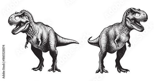 Tyrannosaurus rex illustration in vintage stipple engraving style