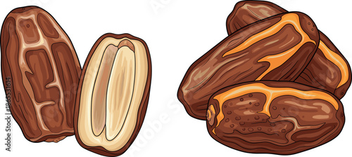 Simple cartoon style vector illustration of two dried dates isolated on white background for food icons and religious holiday designs.