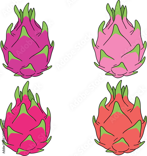 Tropical dragon fruit illustration set featuring four variations of pink pitaya with green scales isolated on white for food and nature design.