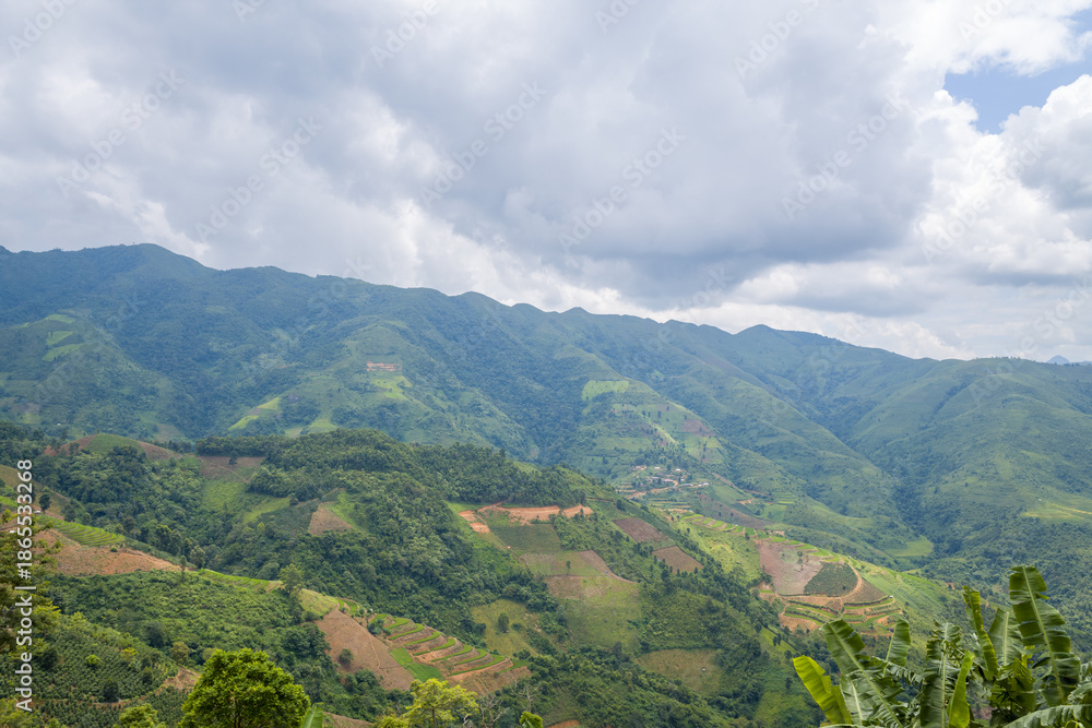 Fototapeta premium A sweeping view of green hills with terraced fields and scattered vegetation under a dramatic cloudy sky in the mountains of northern Vietnam. The landscape features layered textures, soft natural