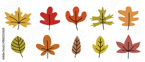 autumn leaf in hand drawn style set 