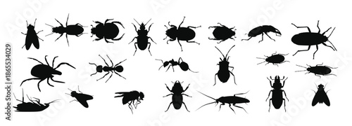 different types of insect silhouettes vector