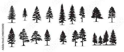 Set of christmas pine trees silhouette isolated on white background. Forest trees vector illustration