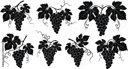 Black grape cluster silhouette set with leaves and tendrils, botanical vineyard vector icons for wine, nature, and decoration themes