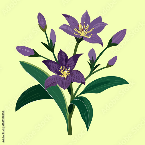Elegant purple lily flower plant with green leaves for a classic and beautiful botanical art design piece