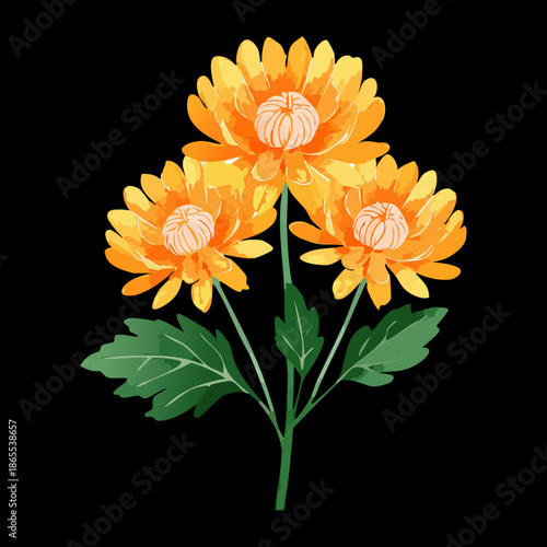 Artistic golden chrysanthemum flower plant arrangement with dark green foliage for a dramatic botanical nature scene