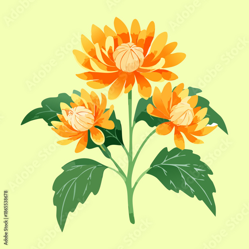 Three golden chrysanthemum flower plant stems with green leaves for a simple and elegant botanical nature art