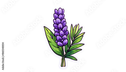 Stylized illustration of lavender with vibrant purple flower spike and green leaves, cut-out style
