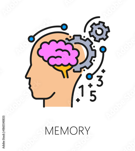 Kids memory cognitive ability color line icon or symbol. Memory brain function outline vector sign, cognitive ability improvement pictogram or symbol with brain, cogwheels in human head silhouette