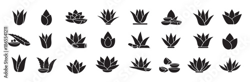 aloe vera flat glyph icons succulent tropical plant