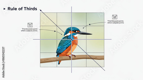A colorful kingfisher perched on a branch illustrating the rule of thirds in photography with a grid overlay and intersecting lines, blue with bird