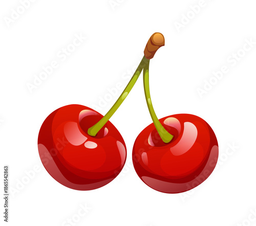 Cartoon ripe cherry berry, isolated vector raw cherries pair attached to stem, glisten, showcasing their deep red glossy skin. Fresh natural summer dessert with sweet flavor and natural freshness