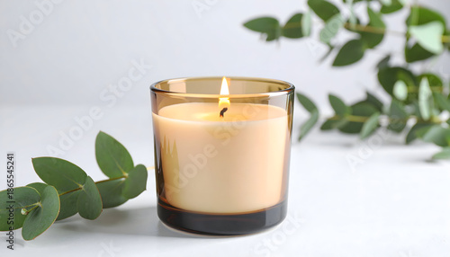 A minimalist scented candle in a glass holder with soft natural light and green leaves, creating a calm, cozy atmosphere perfect for relaxation, wellness, and modern interior concepts.