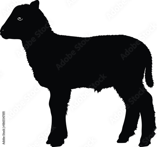Sheep silhouette farm animal livestock profile black vector illustration isolated white background rural agriculture design concept nature pasture mammal graphic