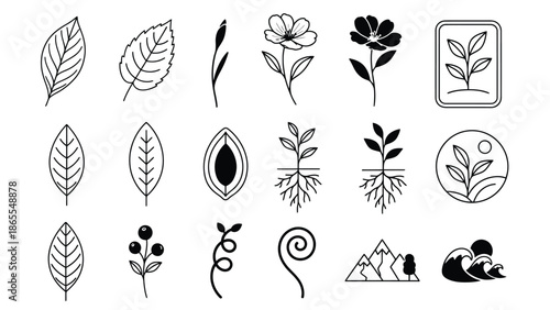 A collection of various botanical illustrations on a white background