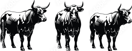 Bull silhouette illustration set showing powerful horned cattle standing poses isolated black vector artwork farm animal wildlife design