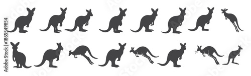 australia kangaroo icon set illustration