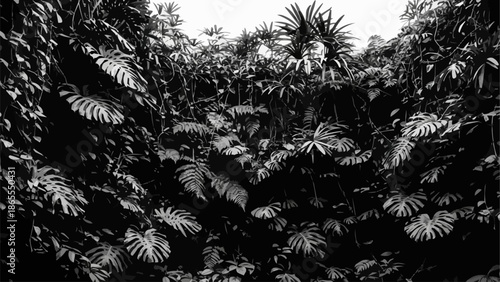 Lush green tropical foliage with large monstera leaves.