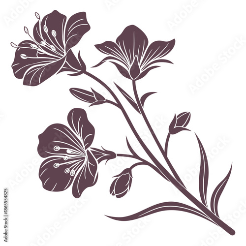 Clarkia Blooms in Dark Brown Linework