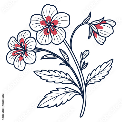 Nemesia Blooms with Red-Centered Petals