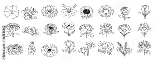  collection of well known and popular one color