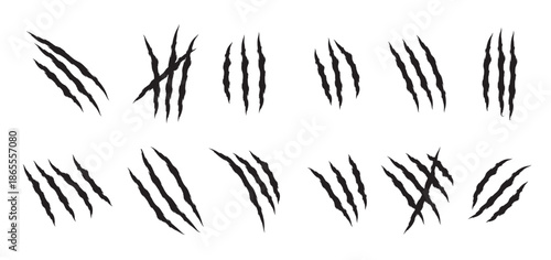 animal claw scratches mark set cat tiger scratches paw