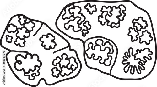 Illustration of cells with various internal structures and patterns