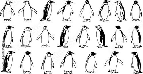 Black and White Hand-Drawn Line Art Penguins Collection. Simple Animal and Nature Vector Illustration Set of Antarctic Birds in Various Poses and Styles.