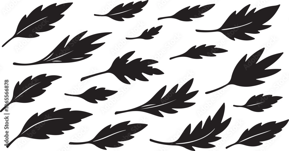 Obraz premium Black Feather Silhouettes on White Background