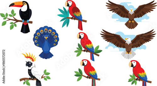 Colorful tropical birds vector illustration set, parrots toucan peacock eagle cockatoo icons, flat cartoon wildlife collection isolated on white