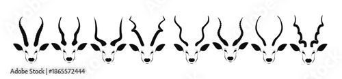 kudu horn vector stock