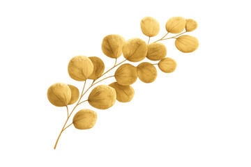 Golden eucalyptus leaves branch with shiny texture on transparent background for luxury botanical design