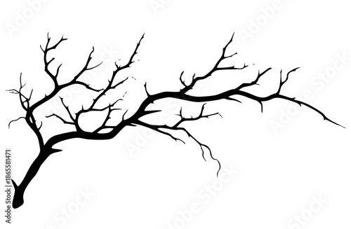 Tree Branch Silhouette Vector Illustration Isolated on White