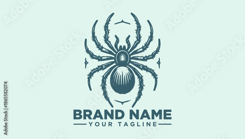 A teal-colored spider logo with eight legs and a brand name text placeholder on a light green background, illustration style with vector graphics.