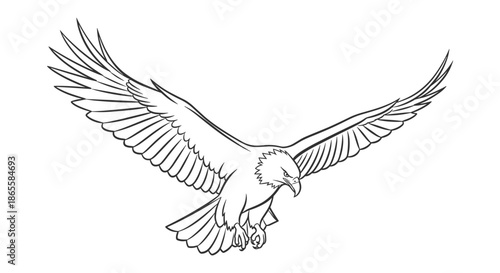 Majestic bald eagle spreads its powerful wings while soaring through the sky in this detailed black and white line art illustration.