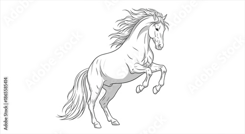 Elegant white horse rears up on its hind legs with a flowing mane and tail in this beautiful and graceful animal line art drawing.