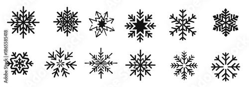 collection of twelve intricate black snowflake designs