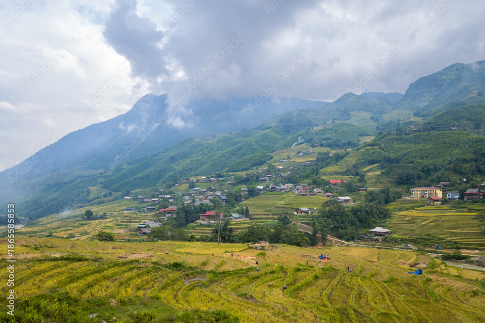 Obraz premium Clustered rural houses nestle between lush terraced rice fields and green hillsides beneath dramatic clouds in the Sapa region of Vietnam. Soft light and drifting mist create a tranquil, atmospheric
