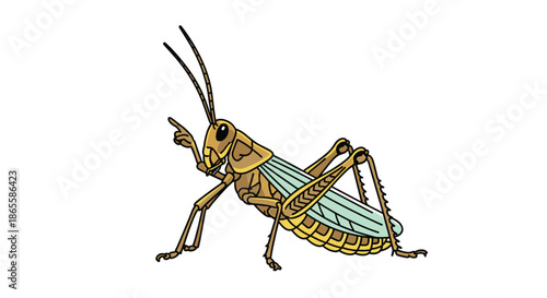 Detailed illustration of a brown and green grasshopper in a side profile, highlighting its long legs, antennae, and wings on a white background.