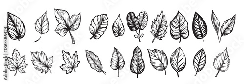 autumn falling leaves pattern