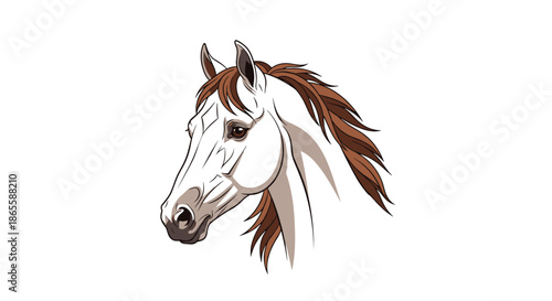 Elegant profile view of a majestic white horse with a flowing brown mane shown against a simple and clean white background.