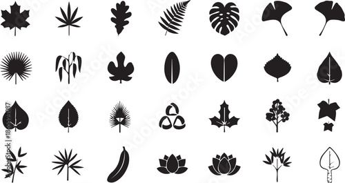 Diverse collection of black silhouette leaves and botanical shapes on a white background