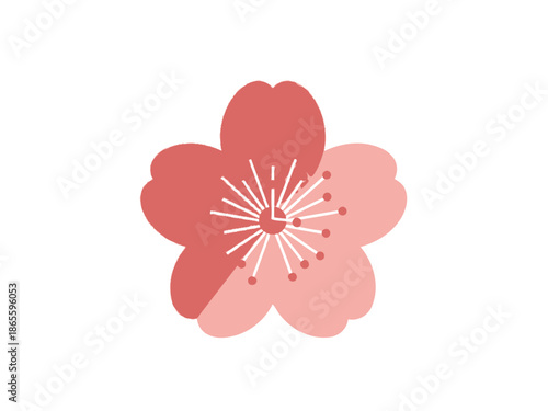 Plum Blossom Vector with Stamen Detail for Graphic Design