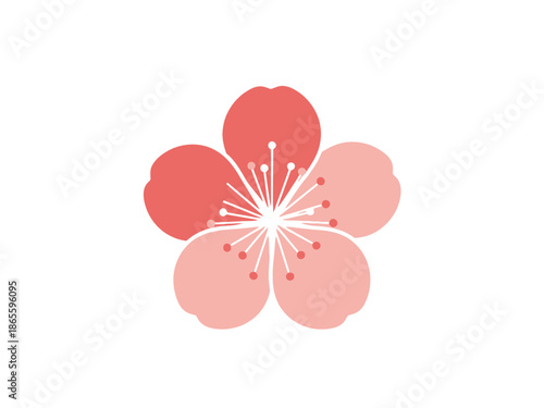 Traditional Plum Blossom Vector Illustration with Stamen Details 