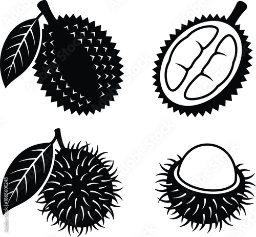 Four black and white of durian fruit in different stages of opening and slicing spiky tropical