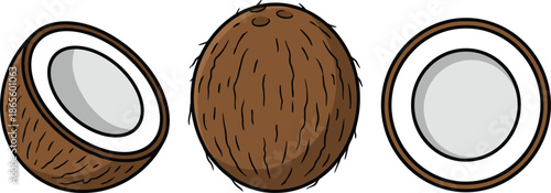 Three Brown Coconuts with One Cut Open Showing White Interior shell tropical