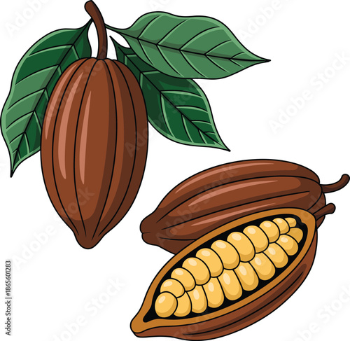 Two brown cocoa pods with one open showing yellow cocoa beans and green leaves open pod 1