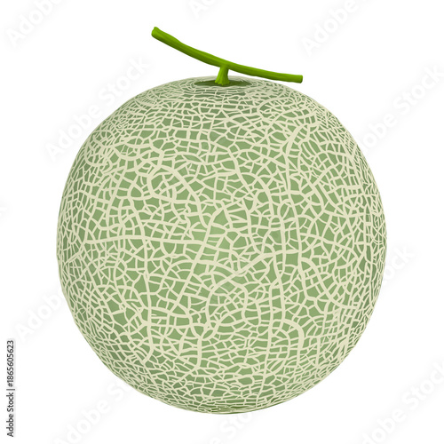 Melon isolated on white background