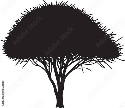 Black silhouette of a stylized acacia tree with a bushy crown and thin branches white